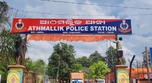 swiss-roll-a-sweet-mystery-not-from-switzerland-still-a-childhood-delight