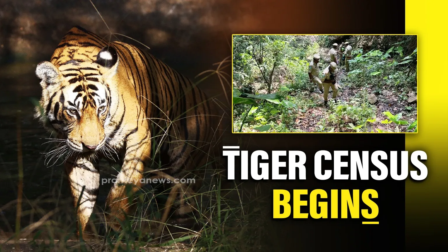 Tiger census begins in Kuldiha Wildlife Sanctuary