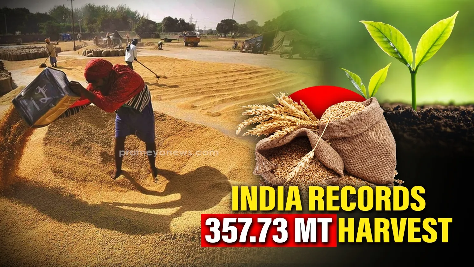 India Achieves Record Foodgrain Production of 357.73 Million Tonnes; Minister Chouhan Hails Farmers