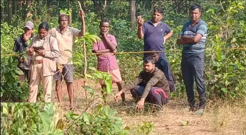 bolero-falls-into-canal-in-puri-5-die-2-critical