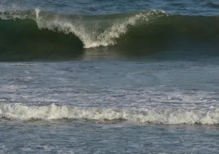 two-paddy-traders-injured-in-shooting