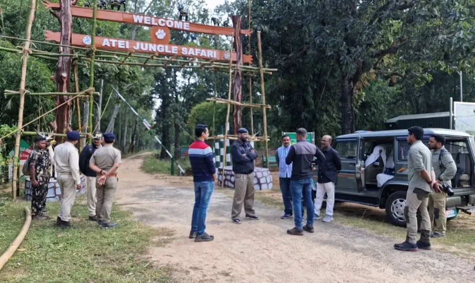 ipl-2024-we-paid-the-price-for-dropping-kohli-says-pbks-skipper-shikhar-dhawan-after-loss-to-rcb