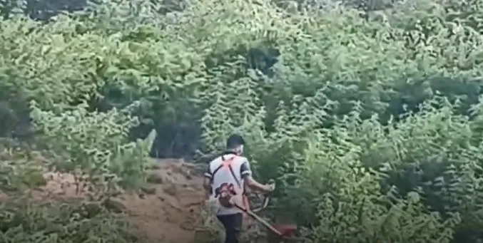 know-odisha-mlas-arested-in-criminal-cases-in-recent-past