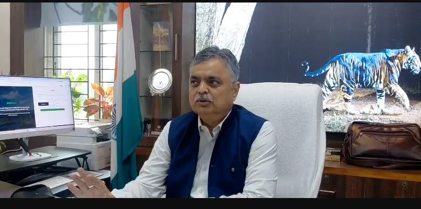 window-seat-village-of-books