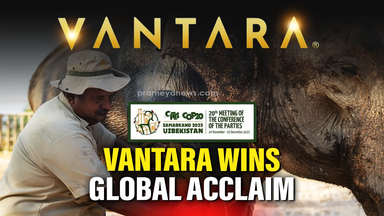 Vantara Wins Global Acclaim: CITES and Supreme Court SIT Validate Conservation Excellence