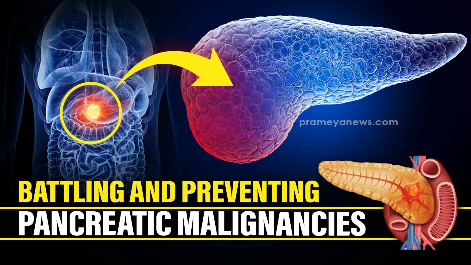 aaps-heavy-weight-manish-sisodia-wins-party-leading-in-62-seats