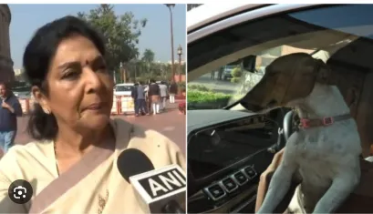 Those sitting inside bite: Congress MP Renuka Chowdhury on row over bringing dog to Parliament