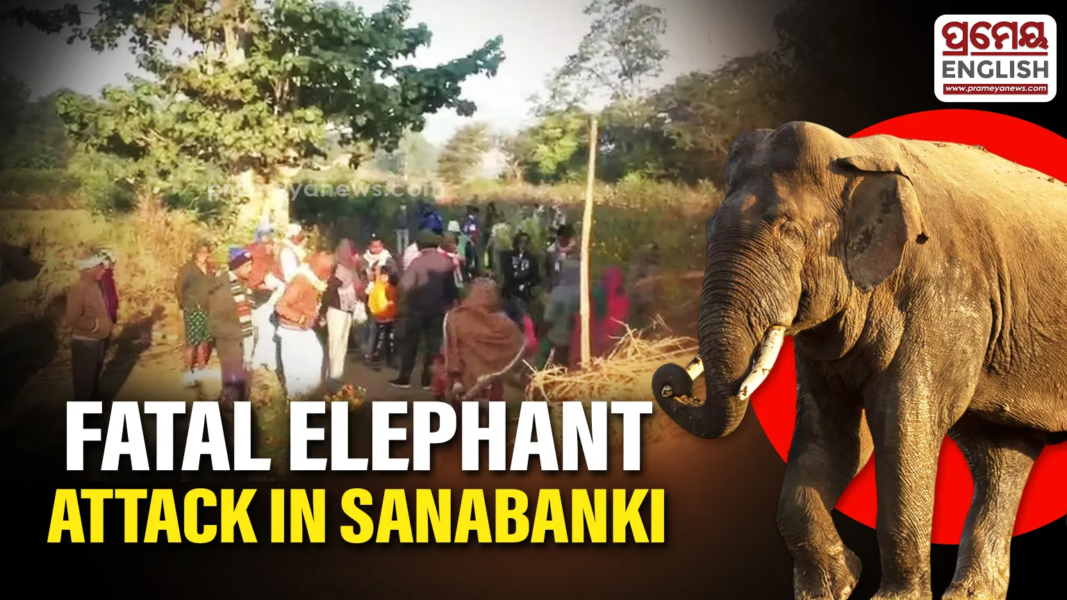 odisha-replete-with-extramarital-affair-related-crimes-emotional-disconnect-or-ditching-core-values