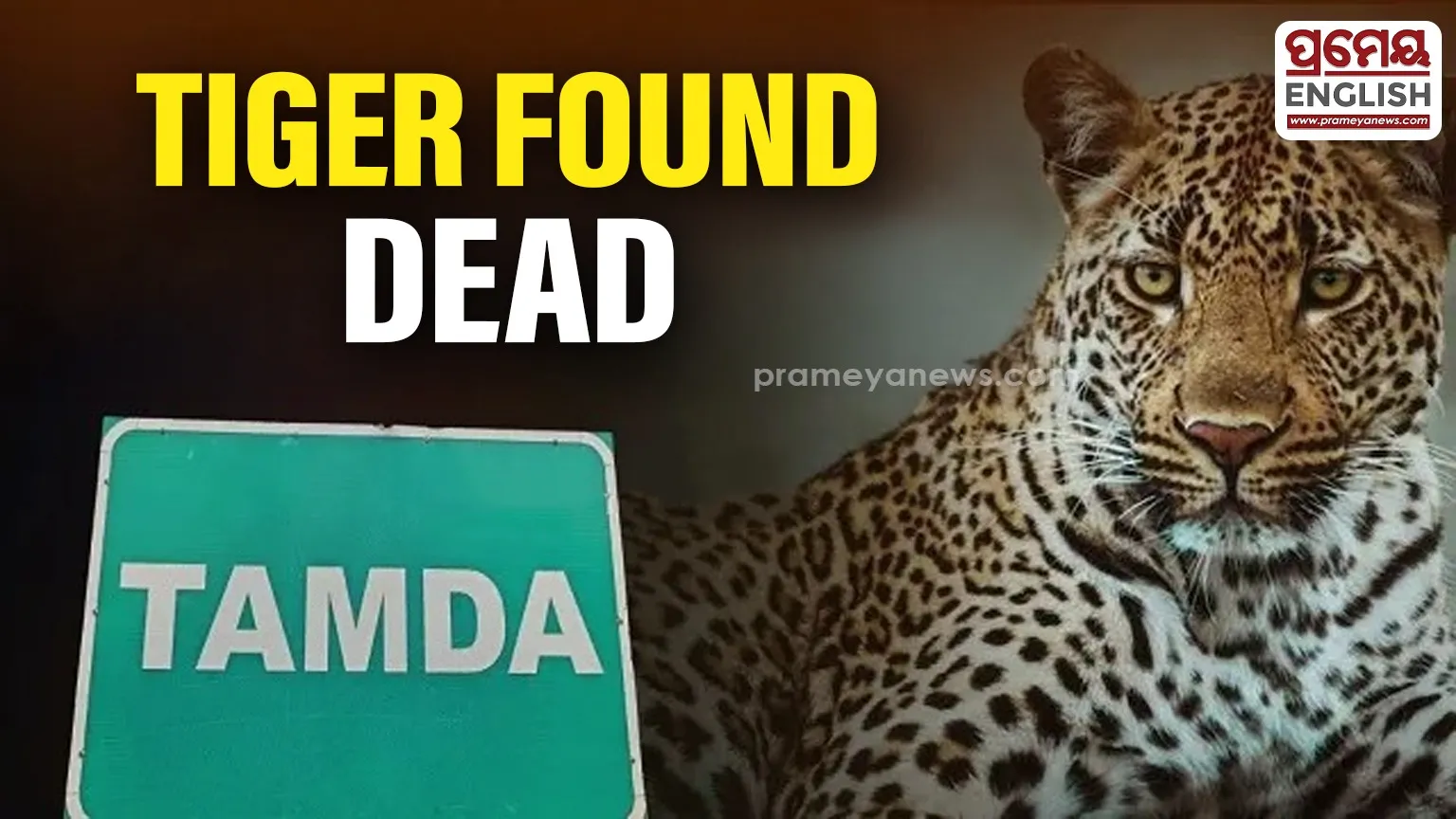 mouni-roy-shares-maldives-vacation-photos-looks-bold-and-beautiful