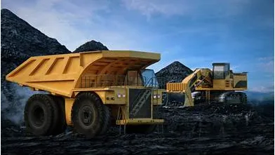 1364-live-star-tortoise-seized-at-chennai-airport