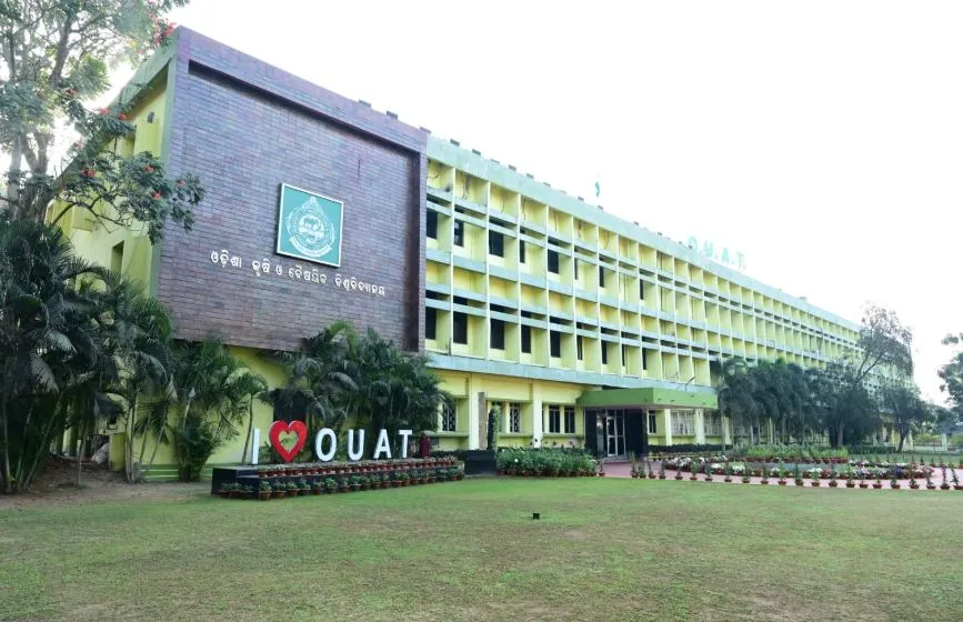 couple-found-hanging-in-odishas-kendrapara