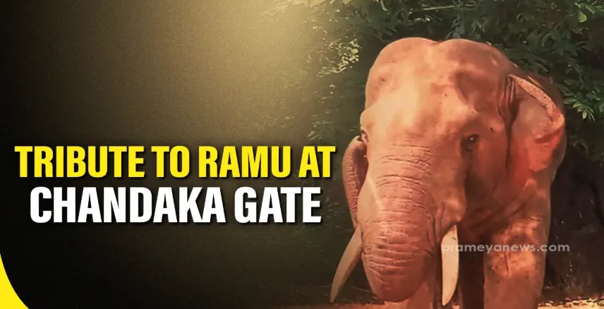 cm-to-review-performance-of-ministers-from-today