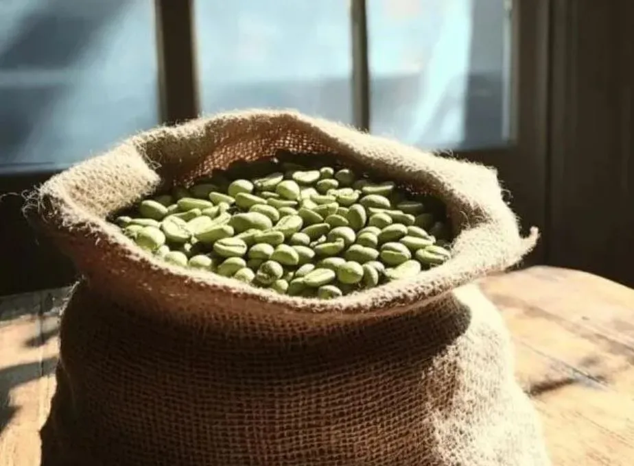 before-surrendering-at-tihar-jail-cm-kejriwal-calls-exit-polls-fake