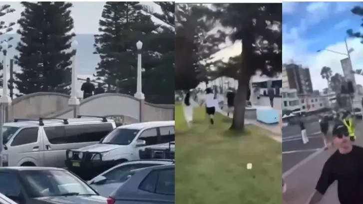 Two gunmen wreak panic in Sydney killing 12 at Bondi Beach