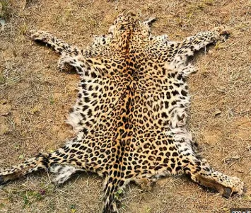 tata-power-takes-over-power-distribution-in-north-eastern-odisha