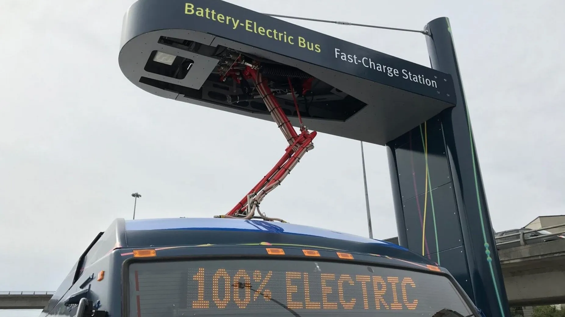 assembly-polls-10-bjp-candidates-including-cm--dy-cm-win-unopposed-in-arunachal