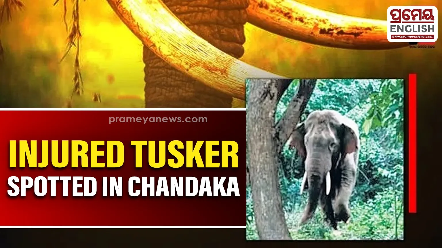 sc-asks-centre-to-allow-female-aspirants-to-appear-nda-exam-in-nov