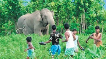 locals-get-angry-as-ambulance-got-stuck-on-the-road-for-an-hour-due-to-technical-snag