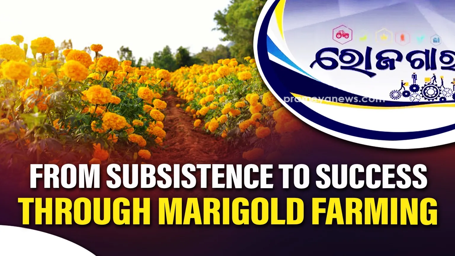 threatened-bigg-boss-14-housemates-ganging-up-against-rakhi-sawant