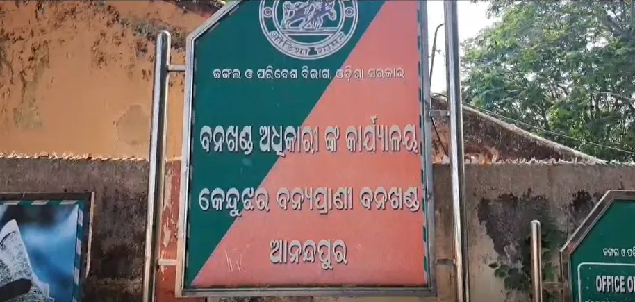 india-blacklists-new-zealand-vlogger-karl-rock-for-violating-multiple-visa-norms