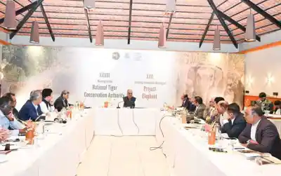 Union Minister reviews strategies for tiger and elephant conservation
