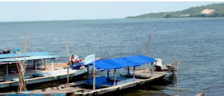Tourist from Jharkhand drowns in Chilika Lake while bathing