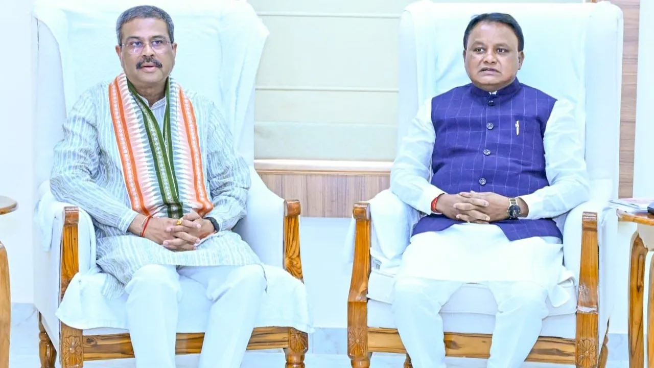 african-cheetah-nirva-missing-from-kuno-national-park-since-july-21-captured