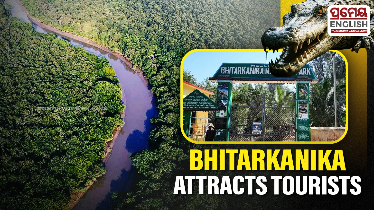 Bhitarkanika Park Buzz: 2,800 Tourists Visit Wildlife