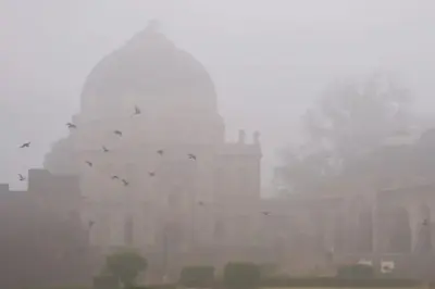 Dense fog in North India disrupts daily life and reduces visibility significantly