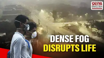 Dense fog in North India disrupts daily life and reduces visibility significantly