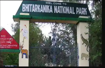 Tourist influx surges at Bhitarkanika National Park