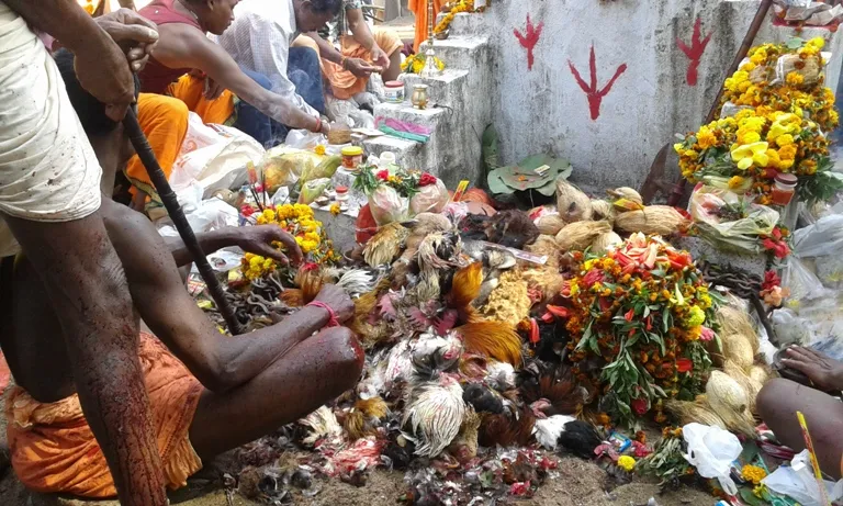 -president-murmu-expresses-grief-over-puri-firecracker-explosion