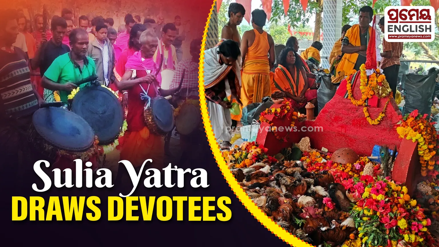 Devotees flock to Sulia Yatra in Bolangir, blood sacrifice marks the rituals