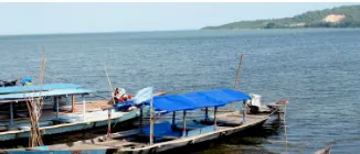 Jharkhand Tourist Drowns in Chilika Lake Tragedy