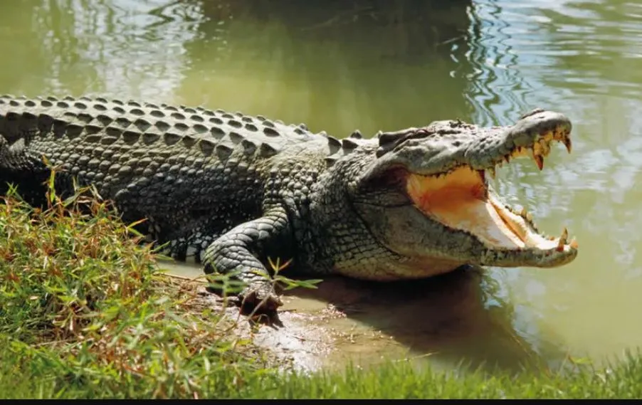 happy-bhai-dooj-2023-greetings-quotes-and-messages-for-your-beloved-siblings