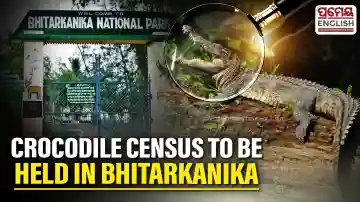 Bhitarkanika National Park to remain closed for tourists during crocodile census  ​​​​​​​