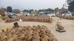 similipal-natl-park-reopens-from-today