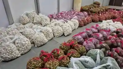 Odisha farm exports to Dubai reach new heights as Kalahandi and Nabarangpur garlic and beans land in global markets