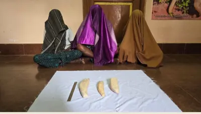 Three more arrested in ivory trafficking case; Total arrests rise to 25