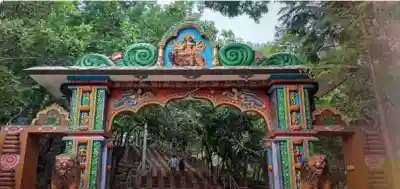 Tourists panic as elephants enter Shikharachandi during Christmas celebrations