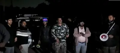 Two elephants spotted in Sikharchandi area, forest authorities heighten monitoring