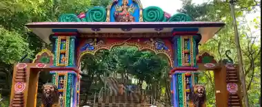 Elephants back in Bharatpur Forest, Shikharachandi Shrine reopens for tourists