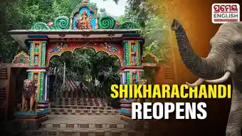 Elephants back in Bharatpur Forest, Shikharachandi Shrine reopens for tourists