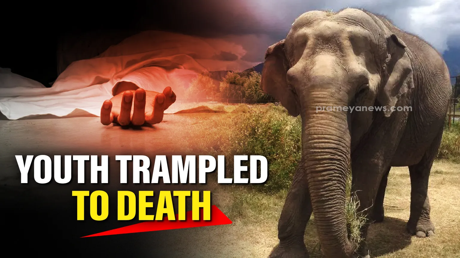 odisha-cm-directs-to-assess-damage-caused-by-cyclone-yaas-within-a-week