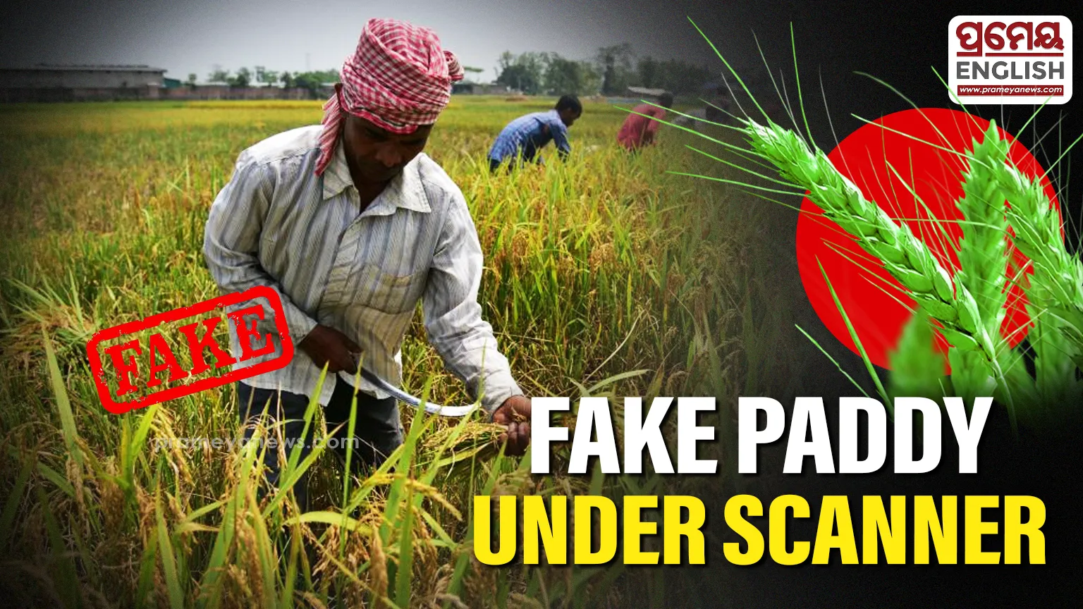 The move has triggered political reactions. The BJD has accused the government of trying to avoid paddy procurement by creating excuses and betraying farmers. The Congress, meanwhile, termed the government anti-farmer, alleging it has failed to lift paddy from mandis and is using such measures to divert public attention