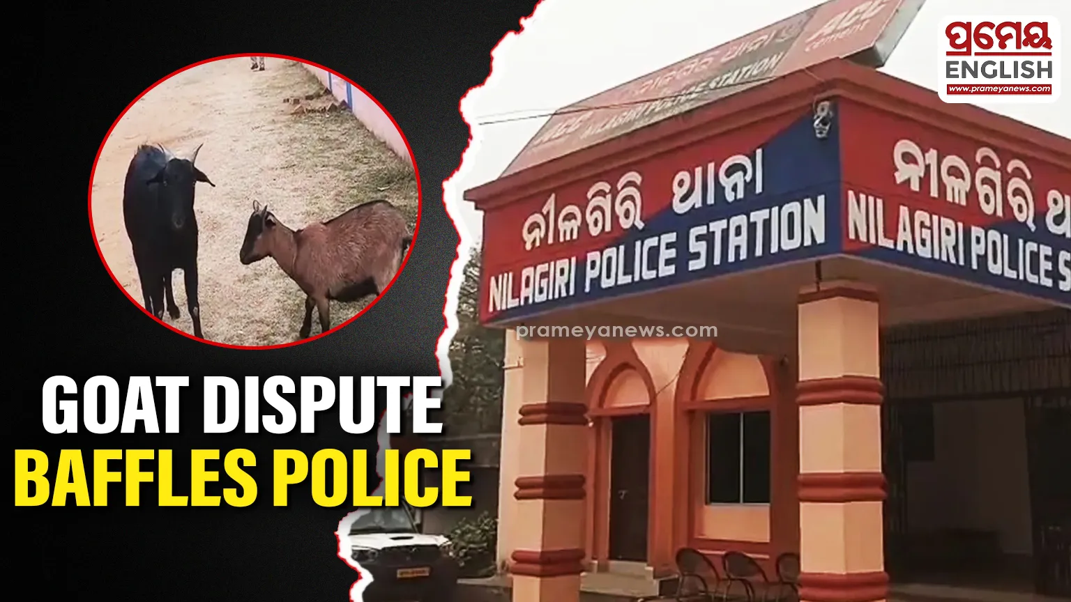 The case took an interesting turn when Monalisa’s family brought another goat to the police station, claiming it as evidence. They argued that their goats are marked with a specific color on their horns, and the disputed goat bears the same marking