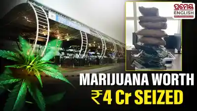 ₹4 Crore worth marijuana seized at Bhubaneswar Airport