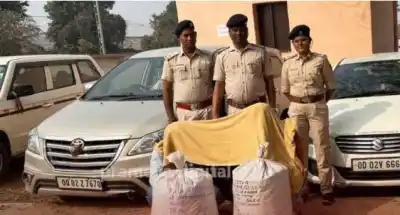 Journalist Arrested for Ganja Smuggling in Kandhamal, Excise Department Seizes Contraband