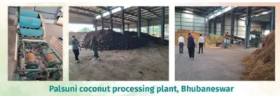 Year Ender 2025: MoHUA initiative in Bhubaneswar transforms temple coconut waste into sustainable livelihoods & green wealth
