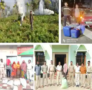 Excise drive intensifies: Contraband worth Rs 1.27 crore seized; 60 arrested in Odisha in a single day 